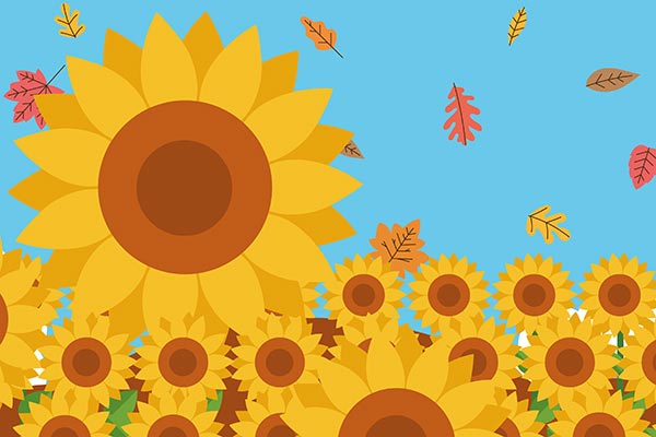 An image of sunflowers and autumn leaves